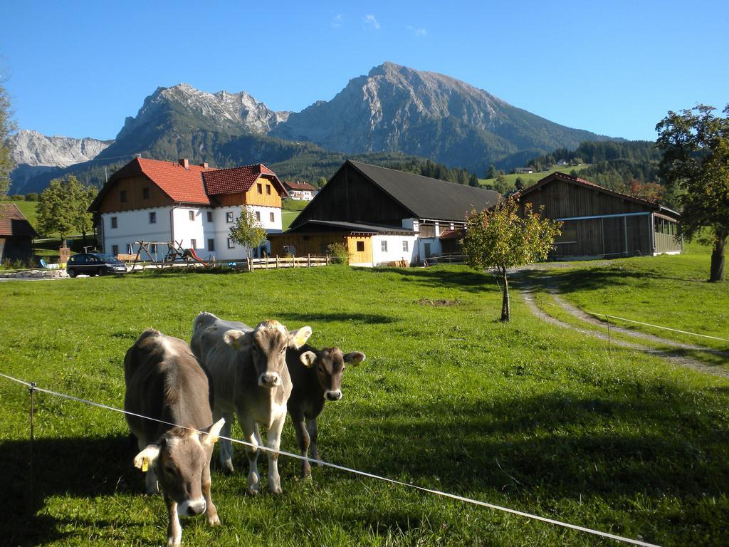 Bio-Urlaubshof Dansbach Villa Шпитал ам Пирн Екстериор снимка