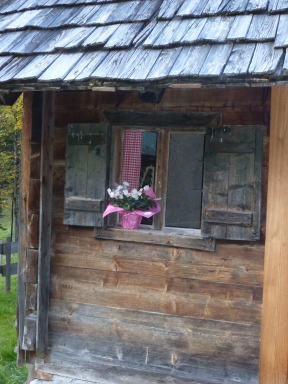 Bio-Urlaubshof Dansbach Villa Шпитал ам Пирн Екстериор снимка