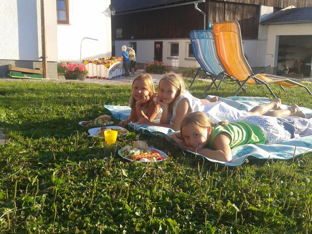 Bio-Urlaubshof Dansbach Villa Шпитал ам Пирн Екстериор снимка